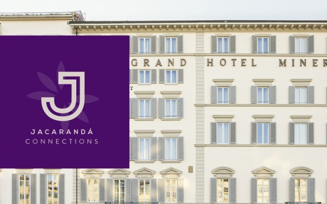 Newsletter September 2025- Jacarandá Moments