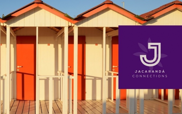 Newsletter January 2025 - Jacarandá Moments