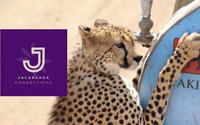Newsletter April 2025- Jacarandá Moments
