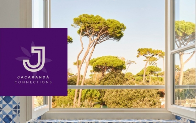 Newsletter May 2025 - Jacarandá Moments