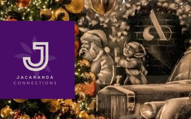Newsletter December 2025- Jacarandá Moments